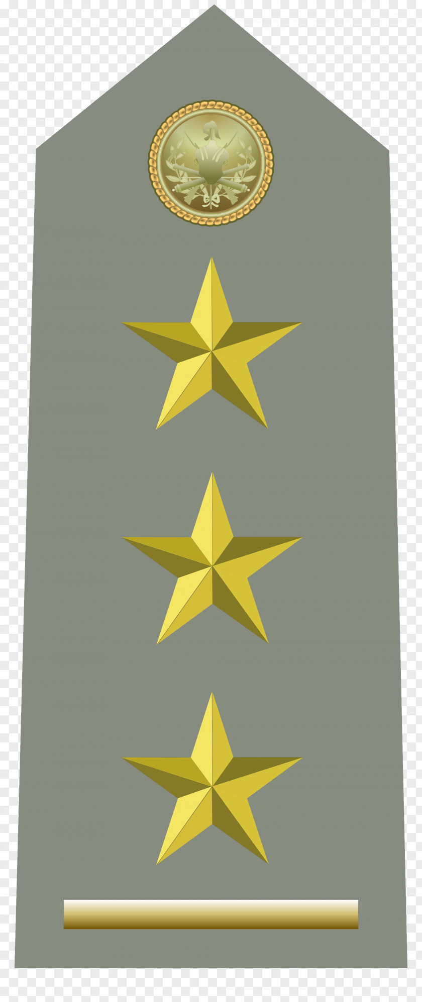 Army Captain Military Rank Royal Italian Dienstgrade Der Italienischen Streitkräfte PNG