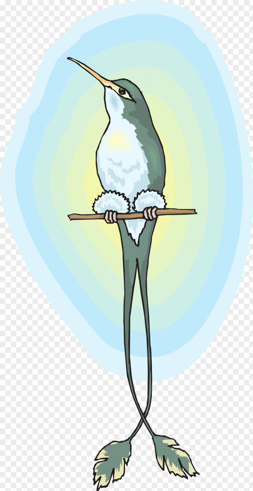 Bird Hummingbird Beak PNG
