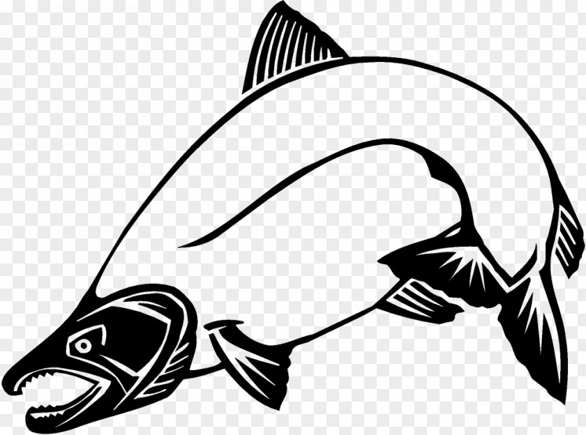 Chinook Salmon Clip Art PNG