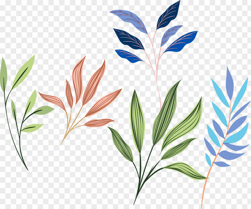 Leaf Plant Flower Grass Stem PNG