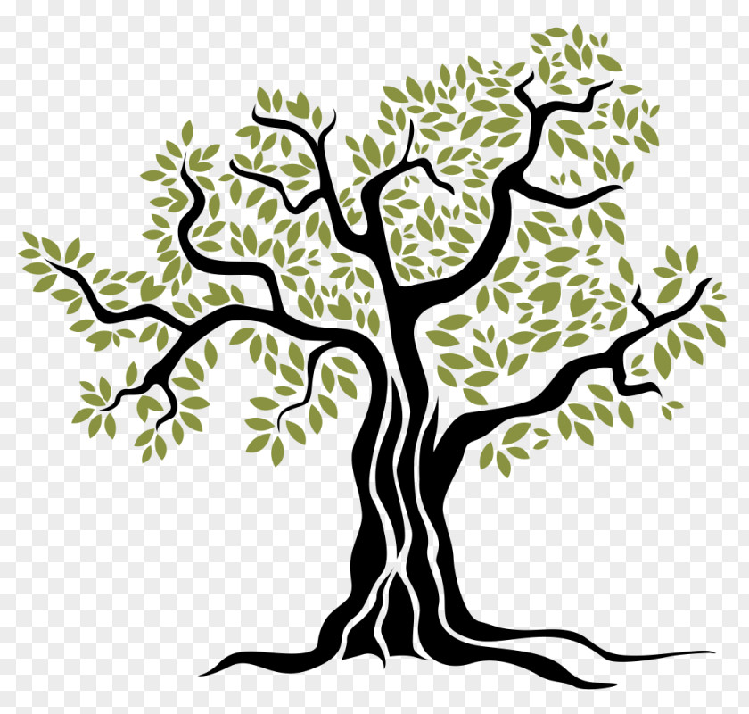 Olive Tree PNG