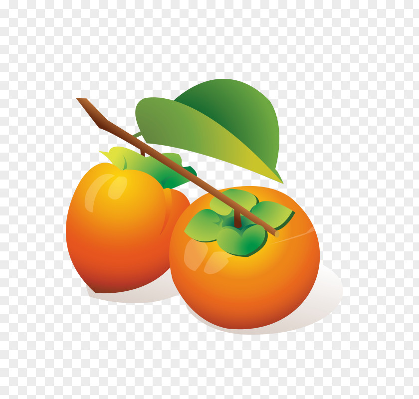 Cartoon Persimmon Japanese Auglis Illustration PNG