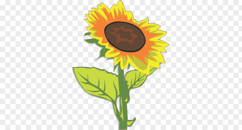 Common Sunflower Clip Art PNG