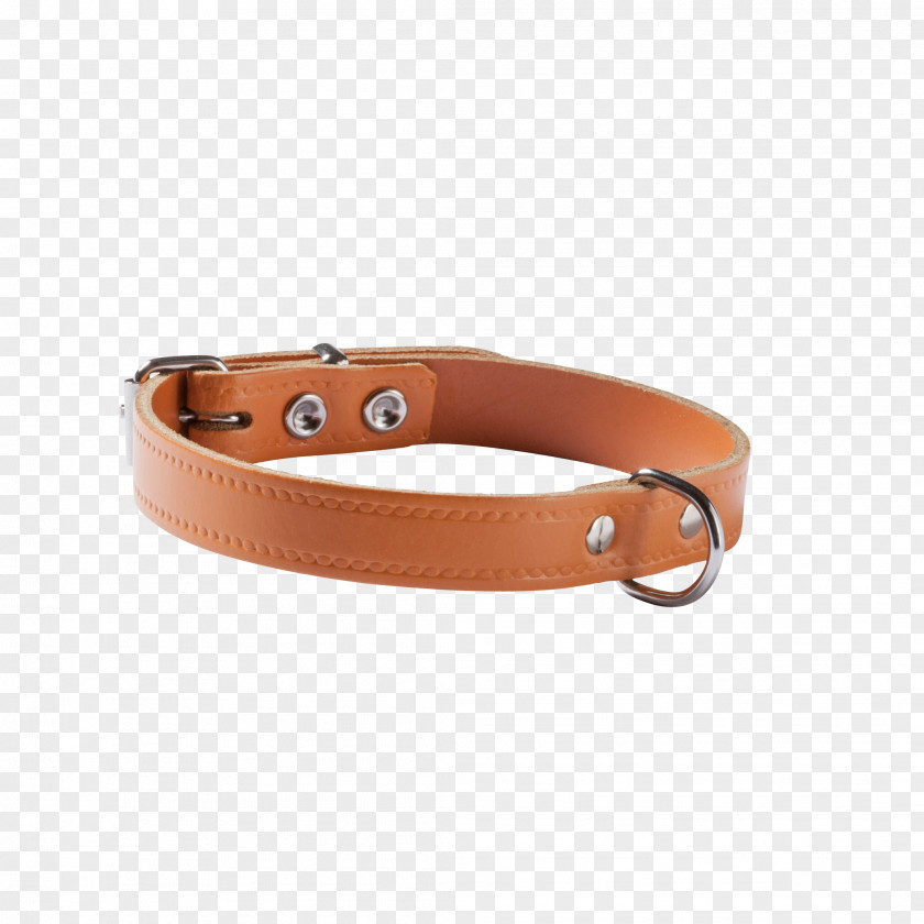 Dog Belt Buckles Collar Leash PNG