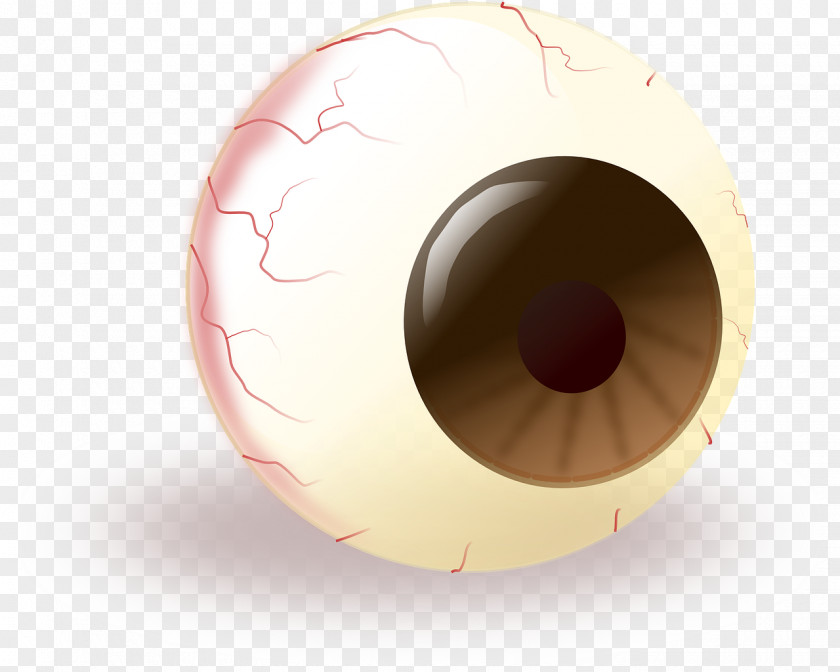 Eye Clip Art PNG