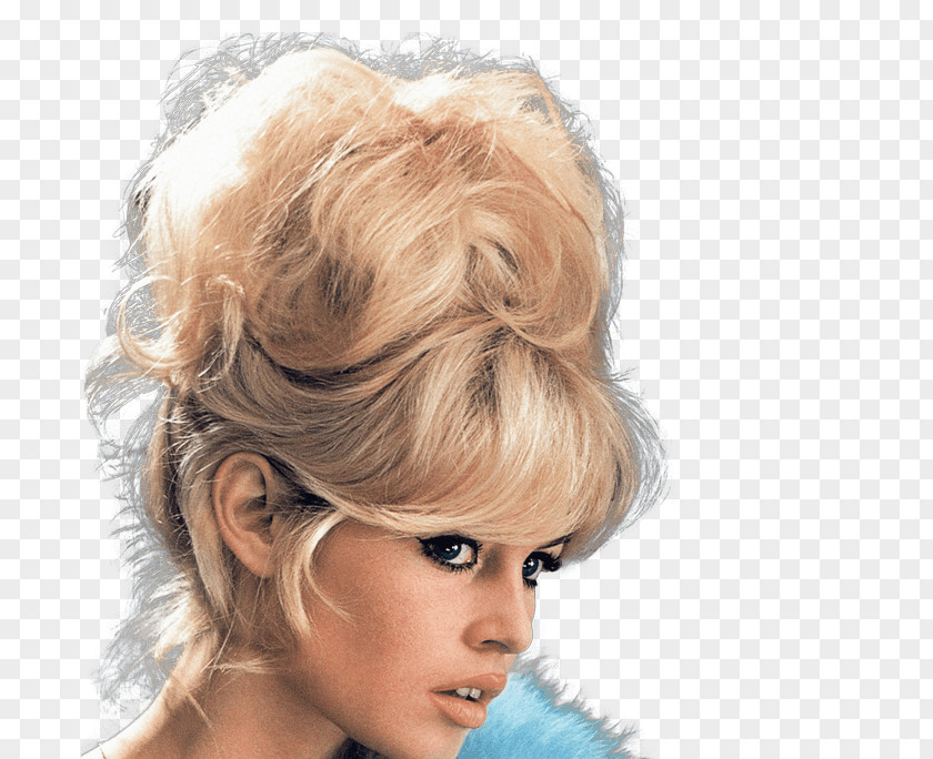 Hair Style Brigitte Bardot Hairstyle Fashion Updo Braid PNG