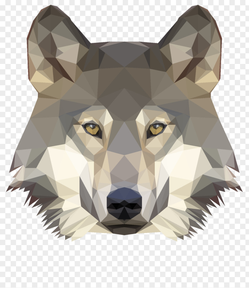 Low Poly Gray Wolf Photography PNG