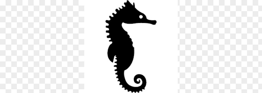 Mint Seahorse Cliparts Clip Art PNG