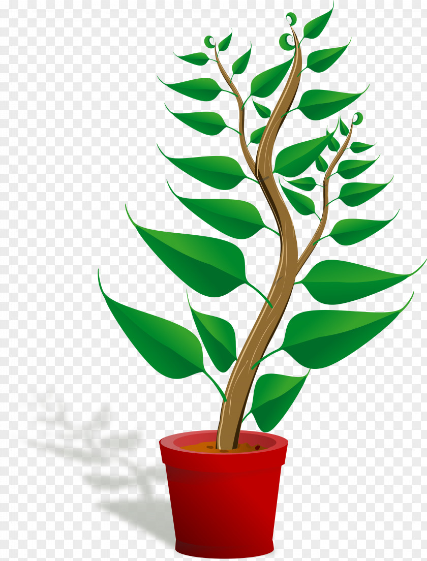 Plant Growing Cliparts Free Content Clip Art PNG
