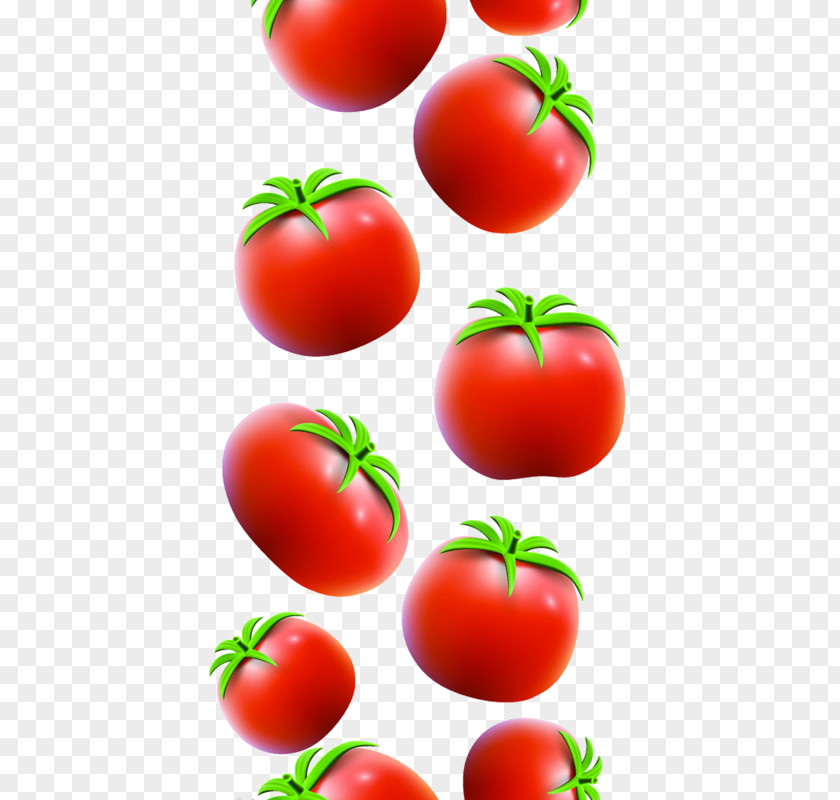 Red Tomatoes Plum Tomato Bush PNG