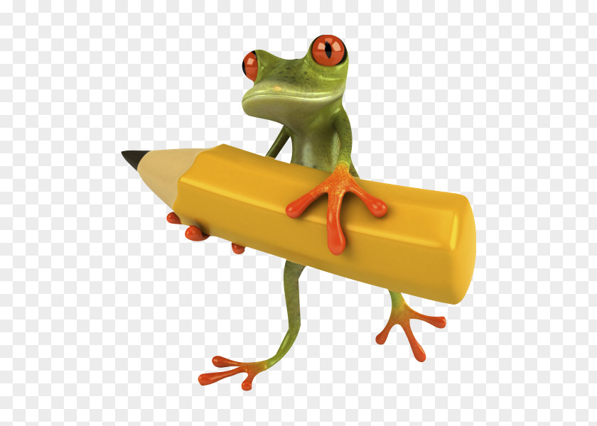 Grenouille Stock Photography Frog PNG