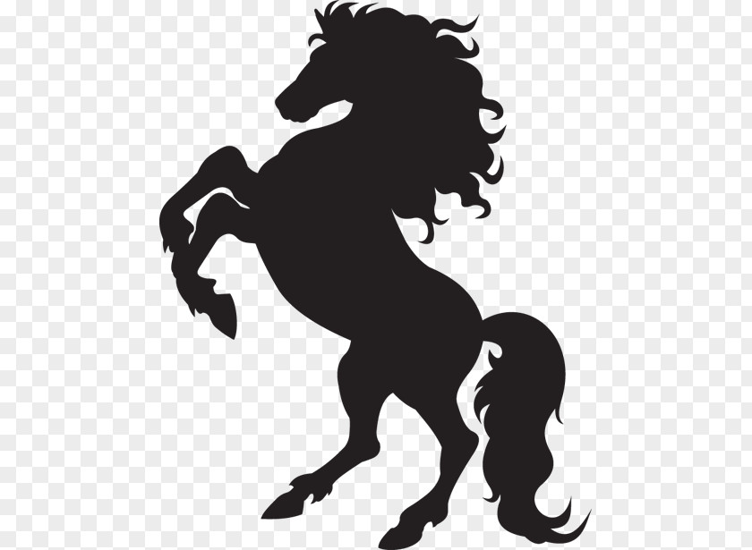 Horse Stallion Rearing Silhouette Clip Art PNG