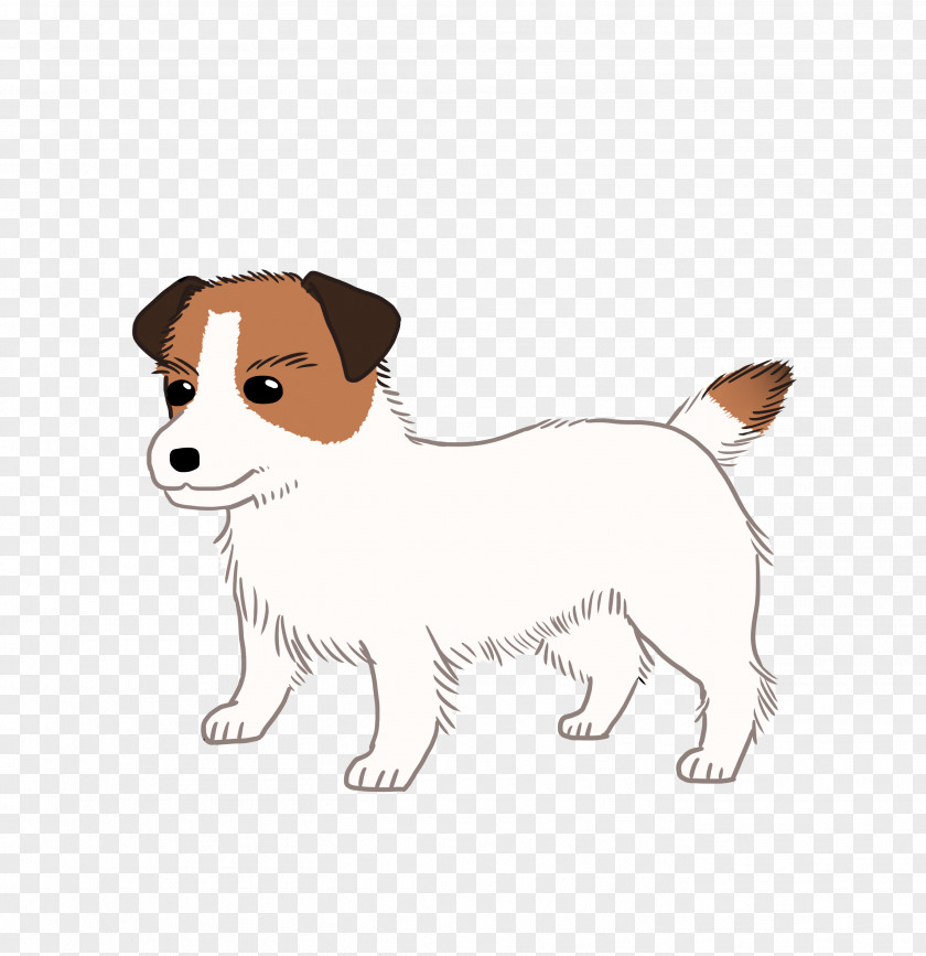Jack Russell Dog Breed Terrier Puppy Companion PNG
