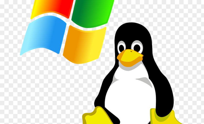 Linux Free Software Computer Kernel Tux PNG