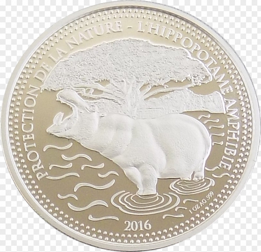 Nature Protection Coin Silver PNG