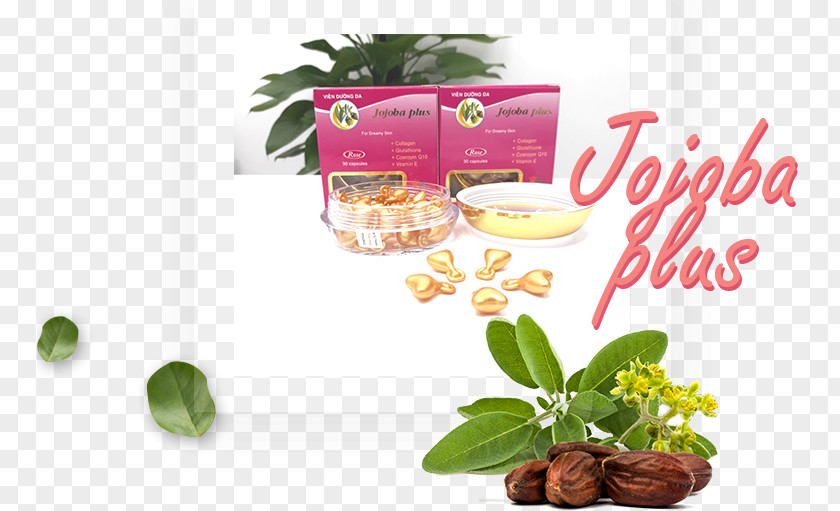 Oil Jojoba Skin Care Cream Health PNG