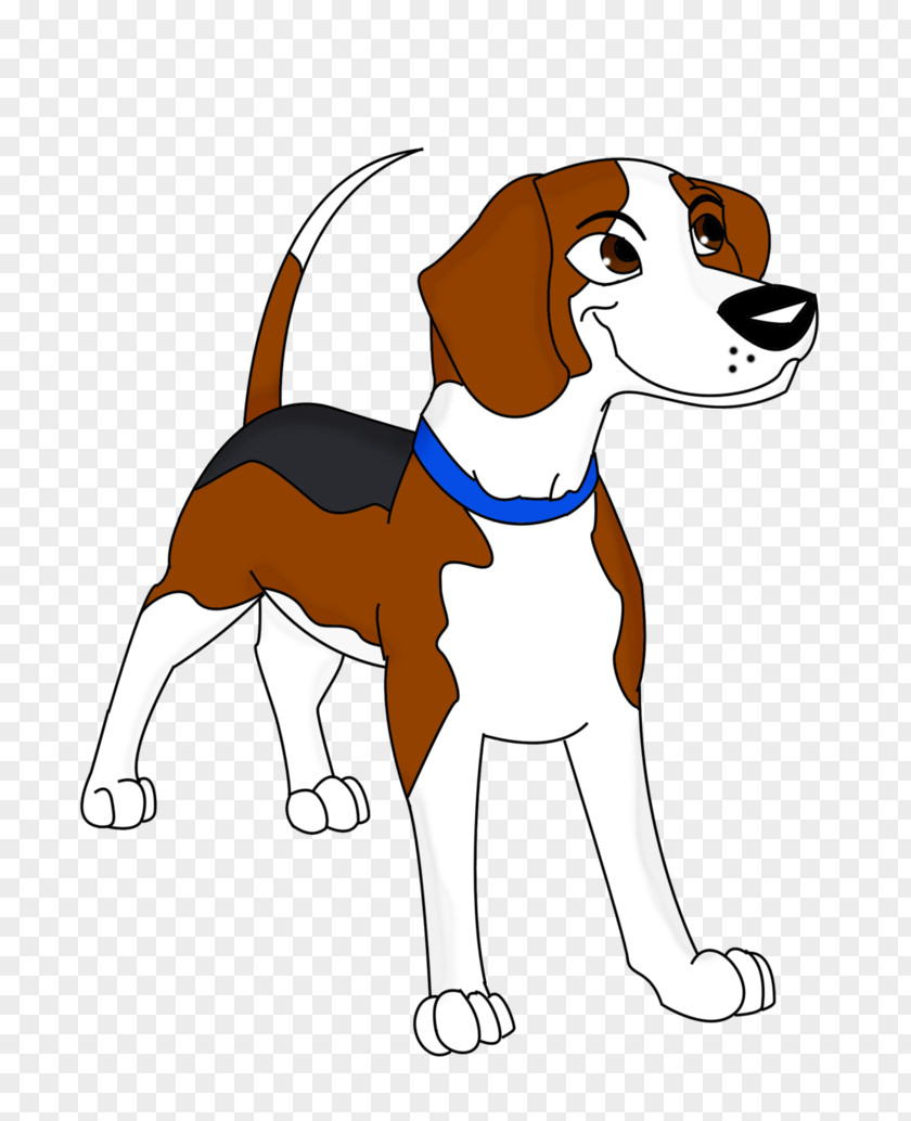 Puppy Beagle English Foxhound American Harrier Treeing Walker Coonhound PNG
