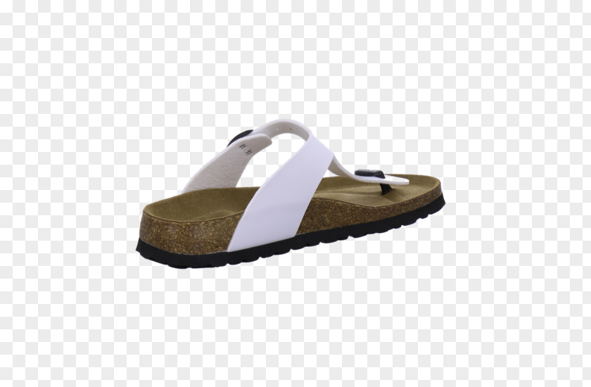 Sandal Shoe Walking PNG