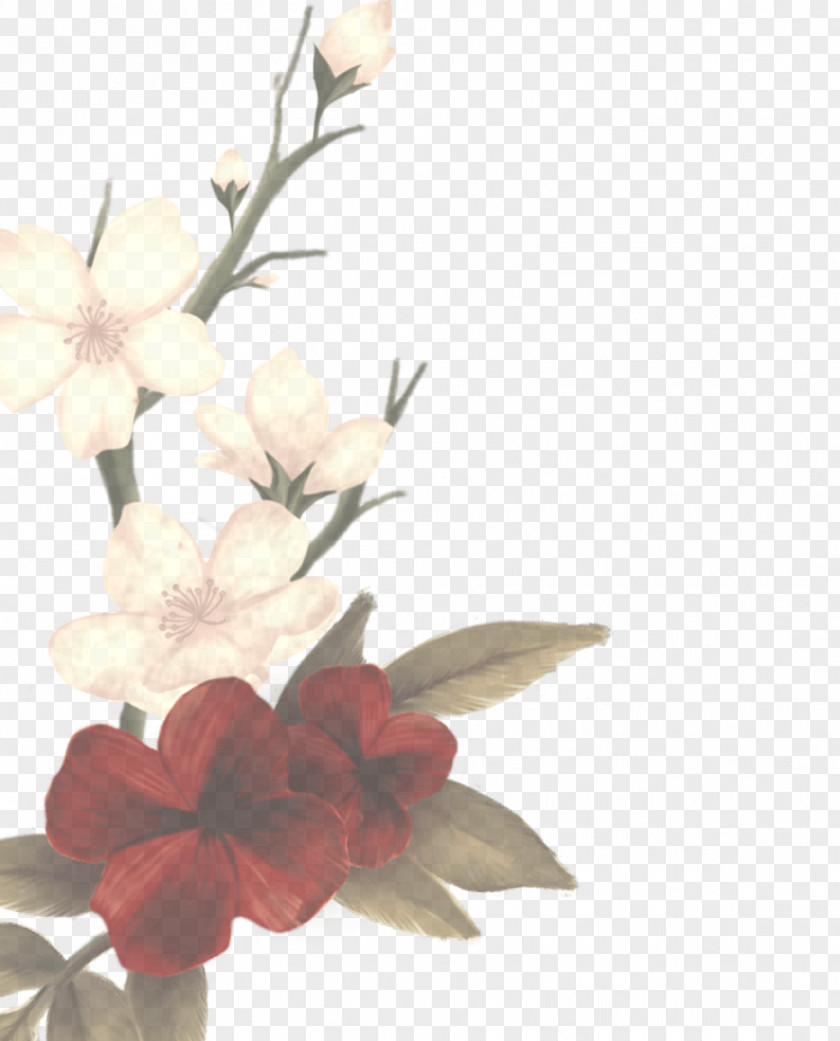 Floral Design Orchid Flower Background PNG