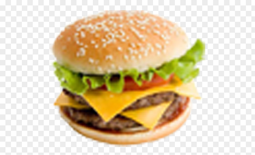 Junk Food Hamburger Cheeseburger Meatball Big N' Tasty PNG