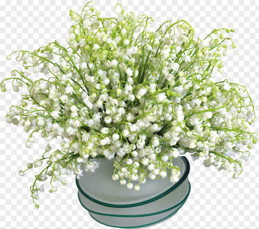 Lily Of The Valley Flower Blog PNG