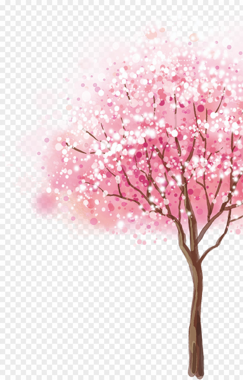 Cherry Tree Blossom Cerasus PNG