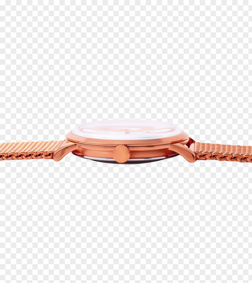 Seagull Material Clothing Accessories Strap PNG