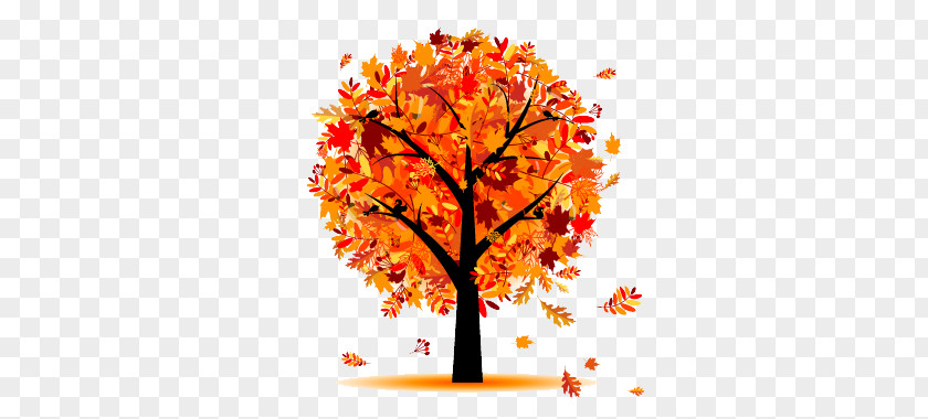 Autumn Leaves Tree PNG leaves tree clipart PNG