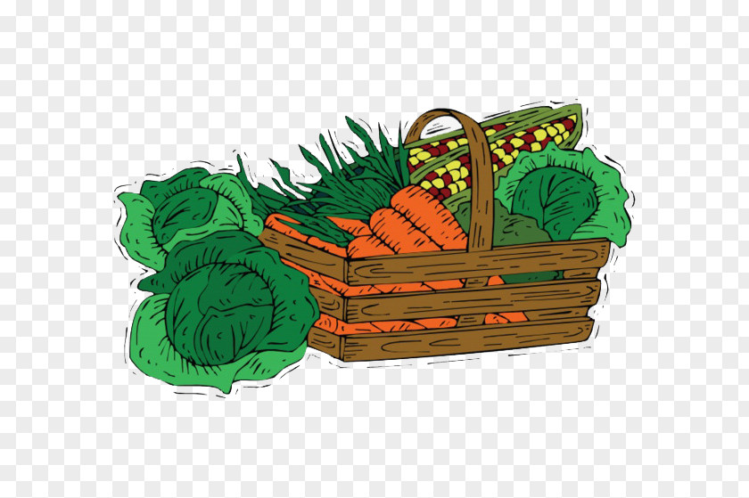 Backboard Design Element Cabbage Vegetable Oil Carrot PNG