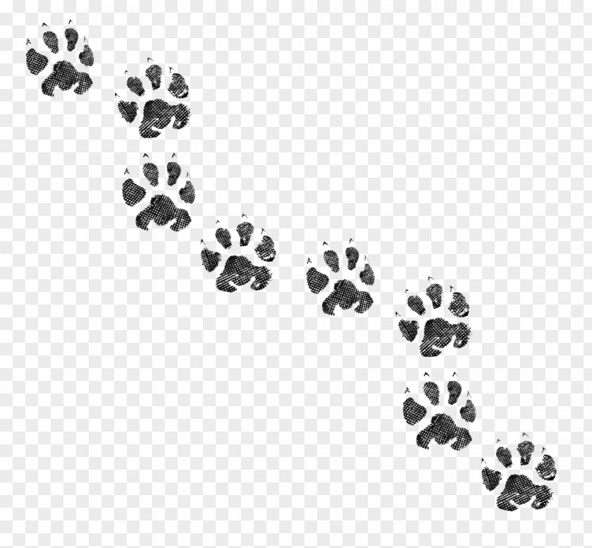 Dog Cat Paw Animal Track Footprint PNG