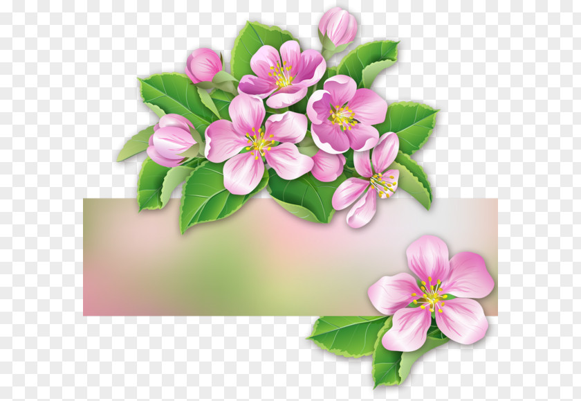 Fairy Border The Plum Blossoms Blog Idea Clip Art PNG