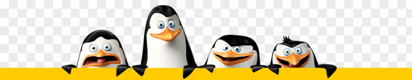 Penguin Kowalski Skipper Madagascar Desktop Wallpaper PNG