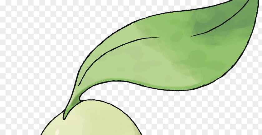 Pokémon HeartGold And SoulSilver Plant Stem Leaf Clip Art PNG