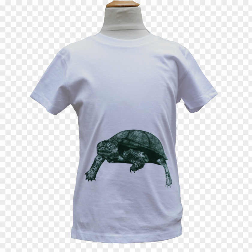Shirt-boy T-shirt Sleeve Teenage Mutant Ninja Turtles PNG