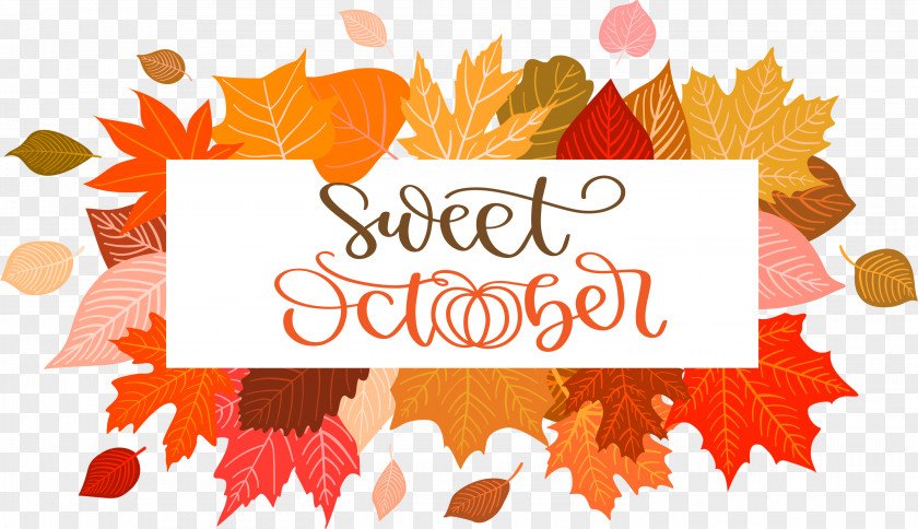 Sweet October October Autumn PNG