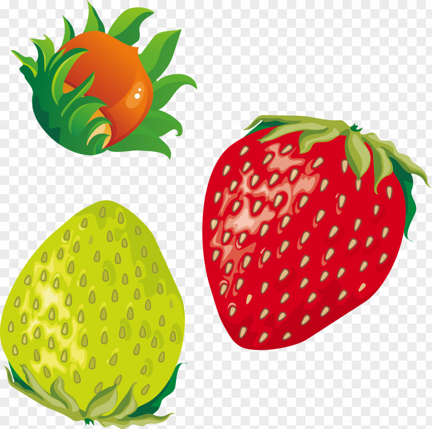 Vector Red Strawberry Green Plum Fruit PNG
