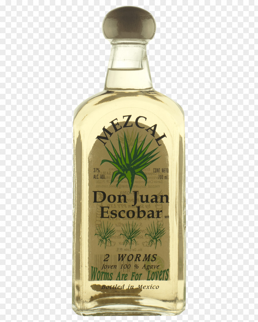 Vodka Liqueur Mezcal Tequila Gusano PNG