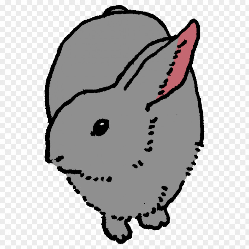 Whiskers Hare Cat Dog Snout PNG