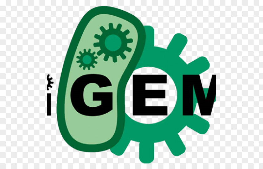 Cancer Cell Of Globular Pathogen International Genetically Engineered Machine Synthetic Biology Genetic Engineering Registry Standard Biological Parts PNG