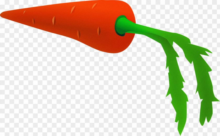 Chili Pepper Vegetable Tabasco PNG