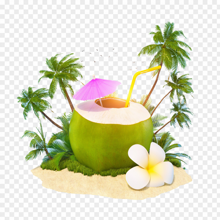 Coconut Milk Cocktail Juice Water PNG