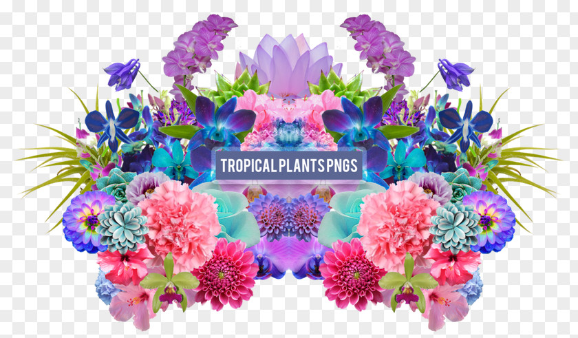 Drawing Summer Tropical Plants Desktop Wallpaper Floral Design Aesthetics PNG