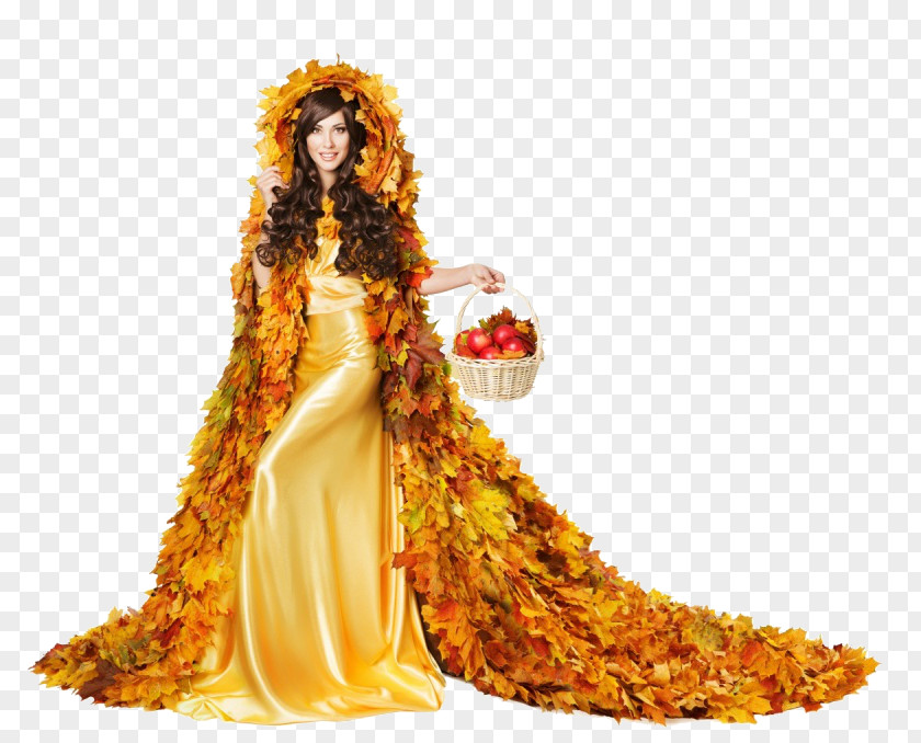 Dress Stock Photography Autumn Leaf Color Gown PNG