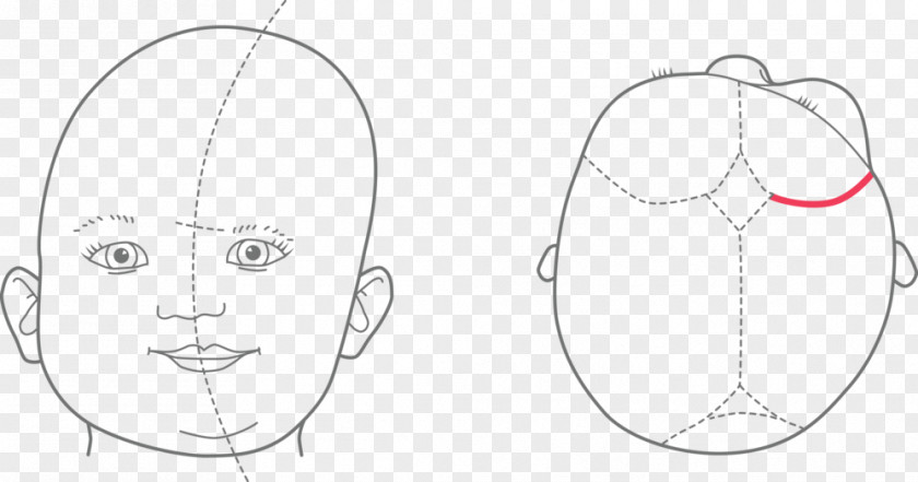 Eye Mouth Circle Line Art Sketch PNG