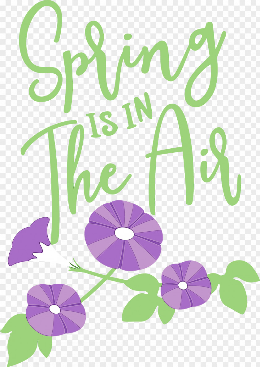 Floral Design PNG