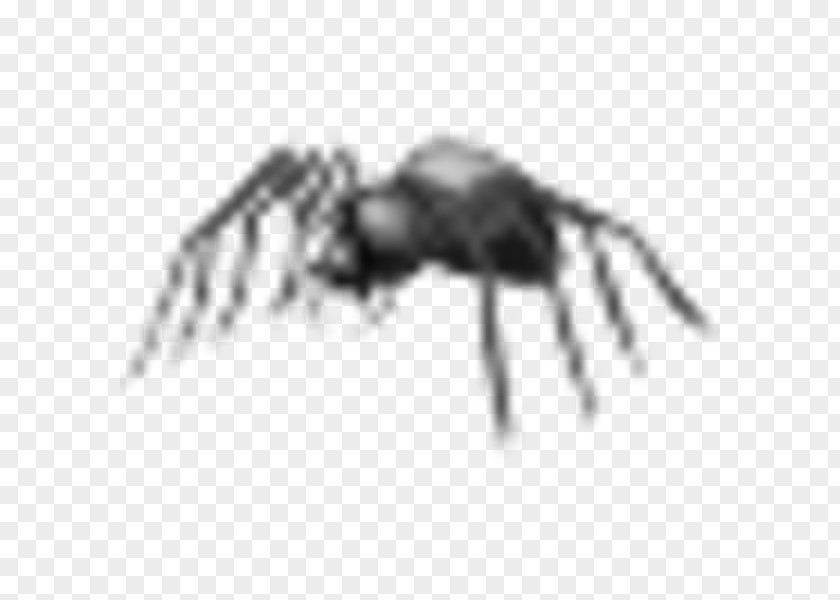 Insect Arachnid Technology Pest PNG