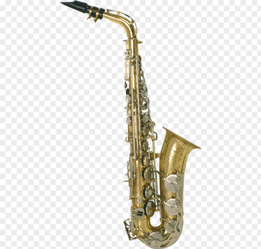 Instrument Alto Saxophone Musical Instruments Reed Tenor PNG