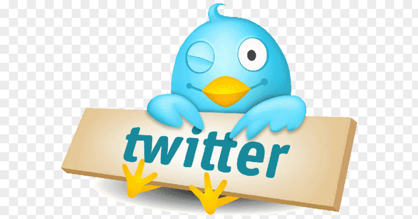 Social Media Logo Twitter Animaatio Image PNG