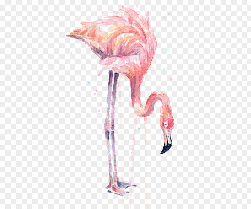 Watercolor Flamingo Painting Art Printmaking PNG