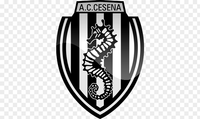 Ac Formations Consulting A.C. Cesena Under-19 Serie A Hellas Verona F.C. PNG